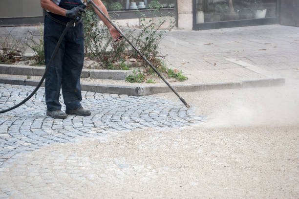 Best Pre-Holiday Cleaning  in Fergus Falls, MN